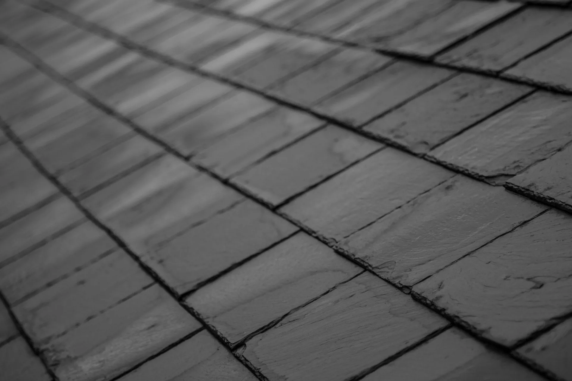 Damp proofing by Vanguard Roofing Services
