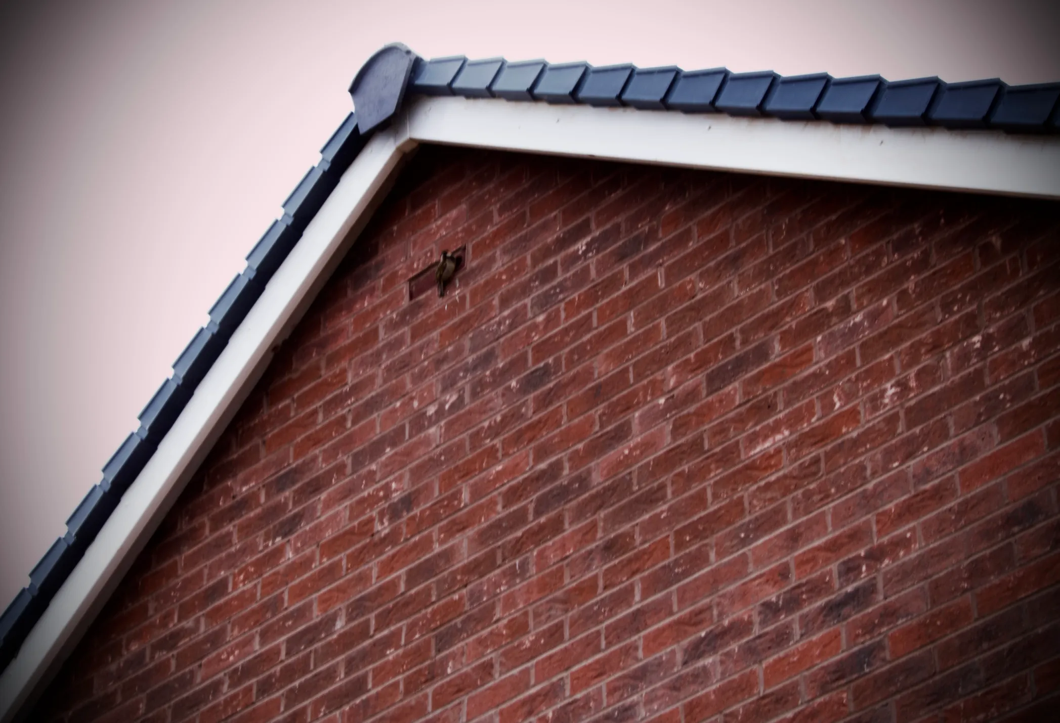 Fascia and soffit installation by Vanguard Roofing
