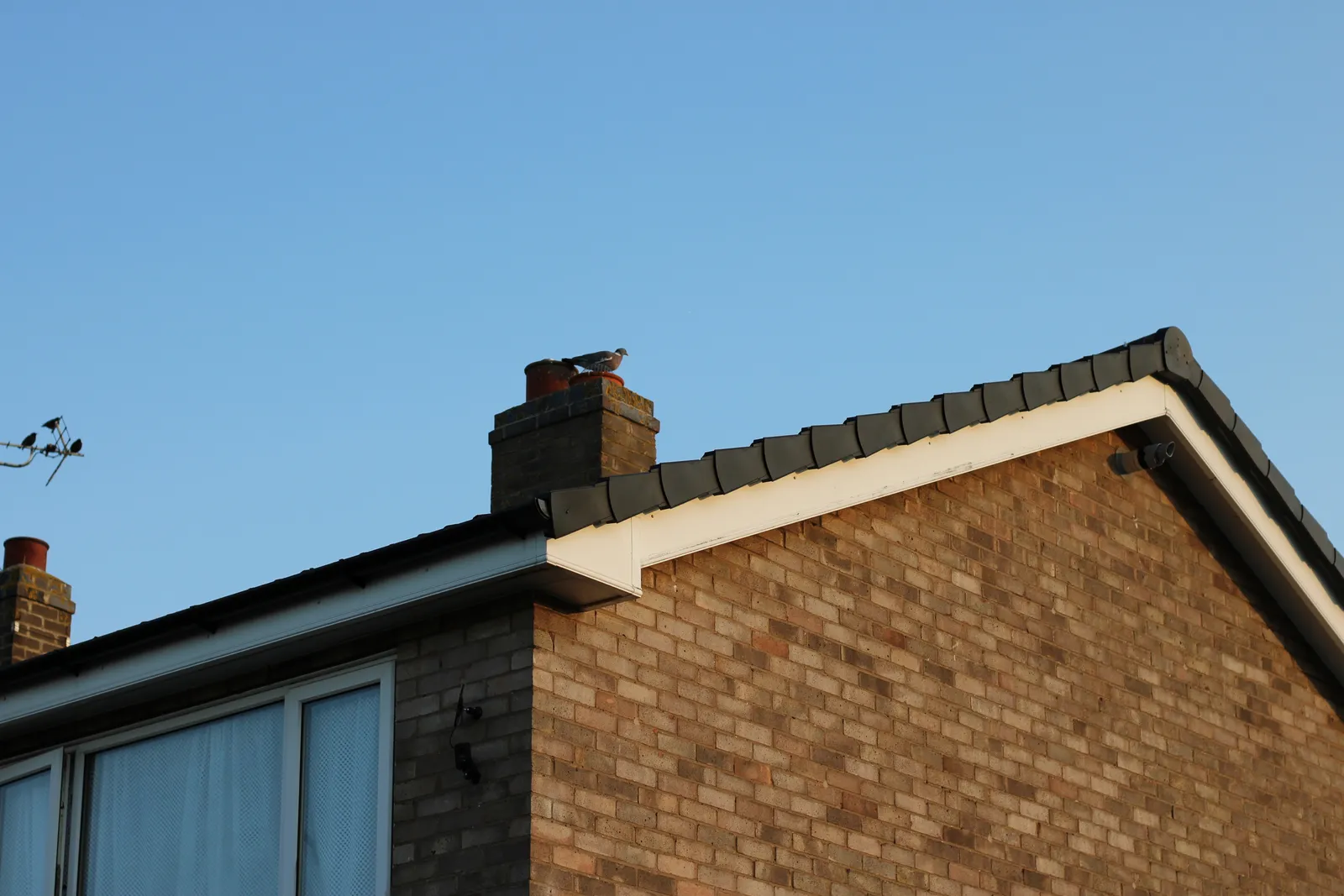 Fascias & Soffits in Bath