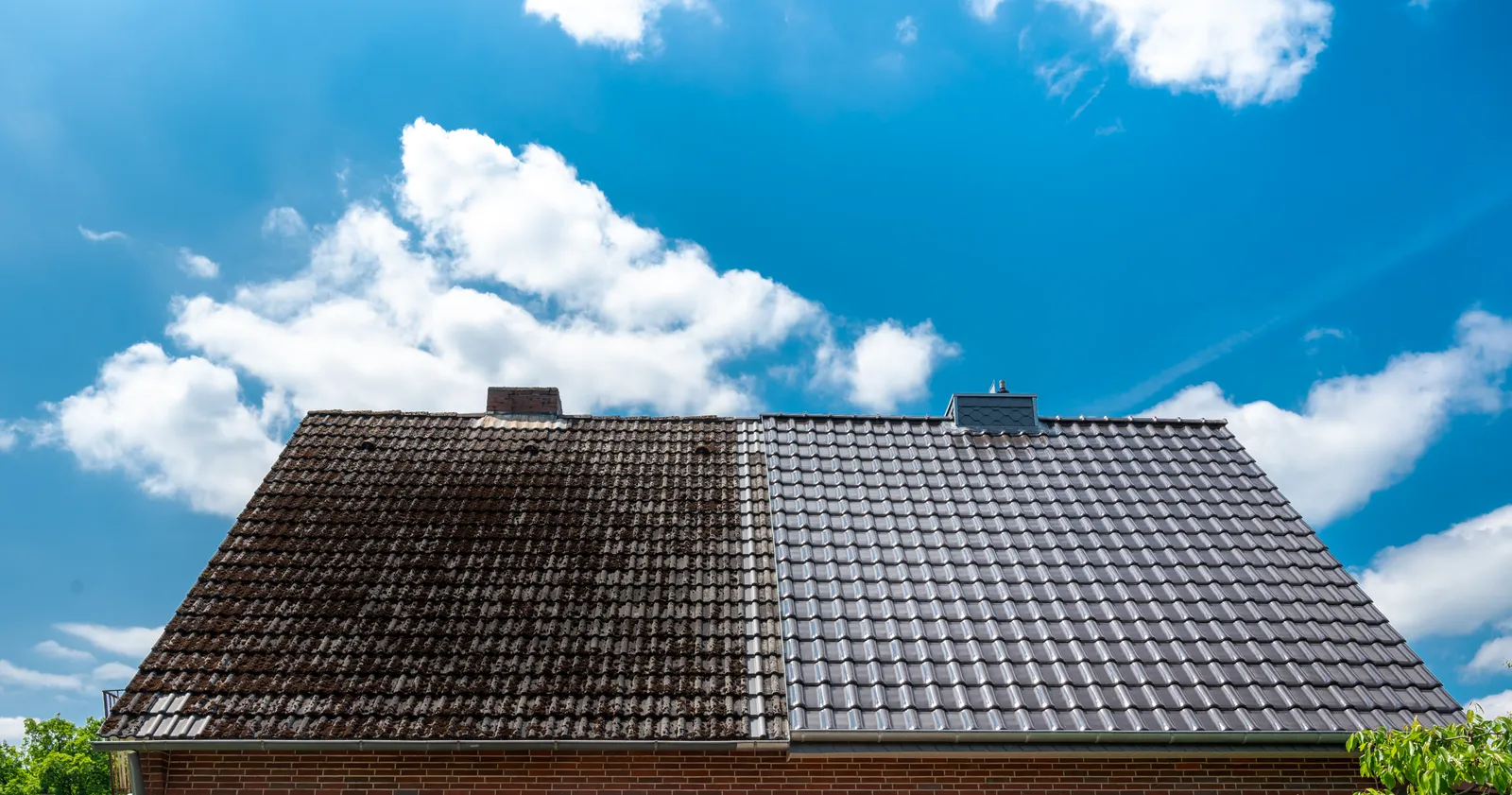 Split view of a tiled roof showing moss build-up cleaned back to bare tiles