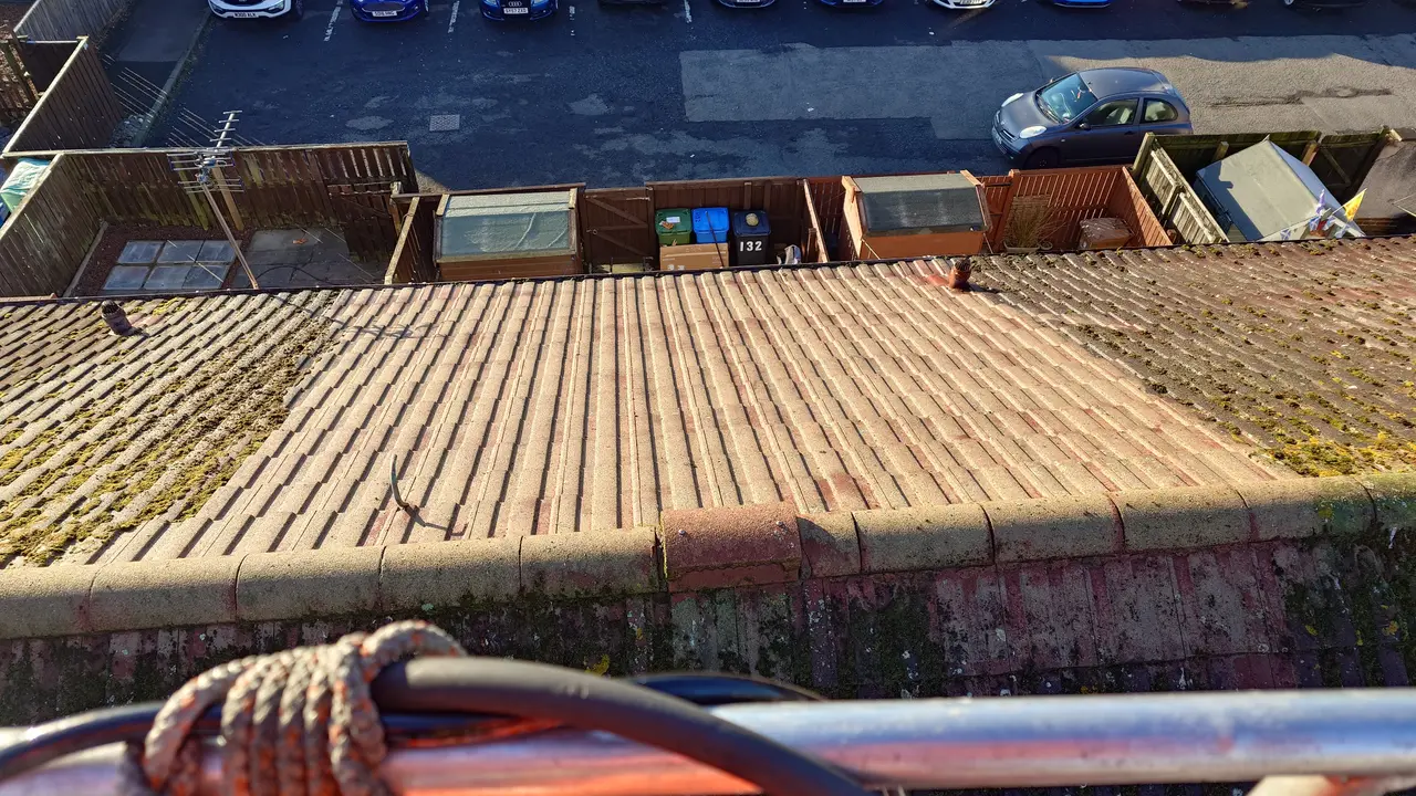 Roof Moss Removal in Devizes